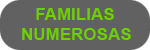Descargar Solicitud Bono Social para Famiias Numerosas